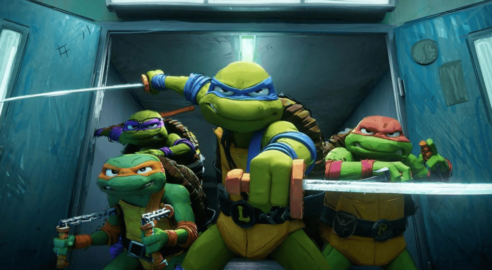 Ninja Turtles : Teenage Years