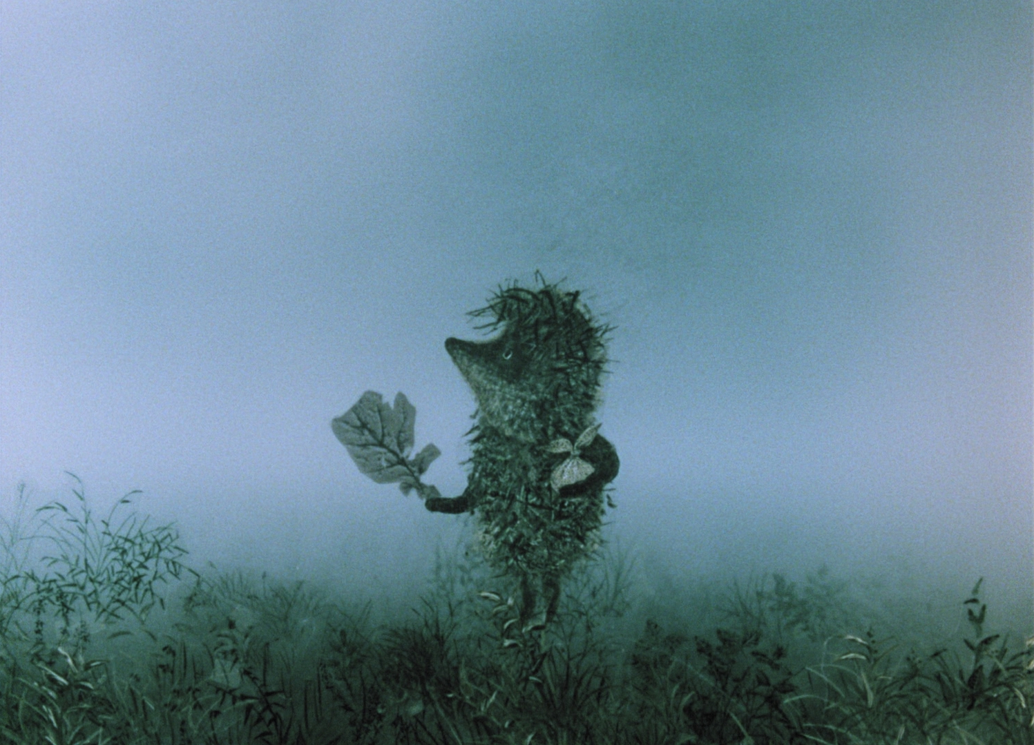 Le Petit hérisson dans la brume et autres merveilles