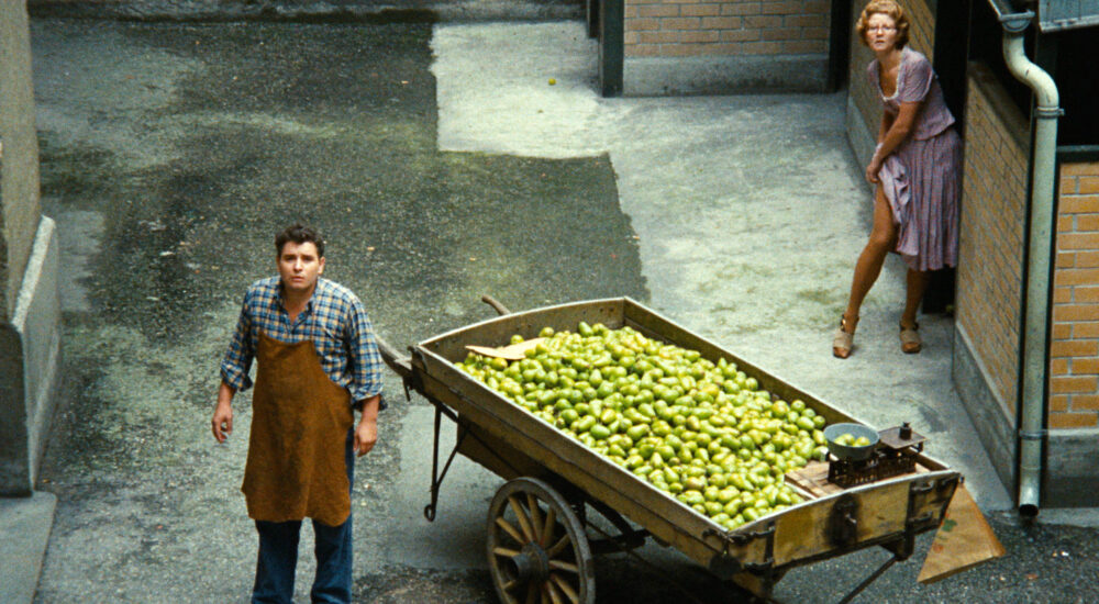 Le Marchand des quatre saisons