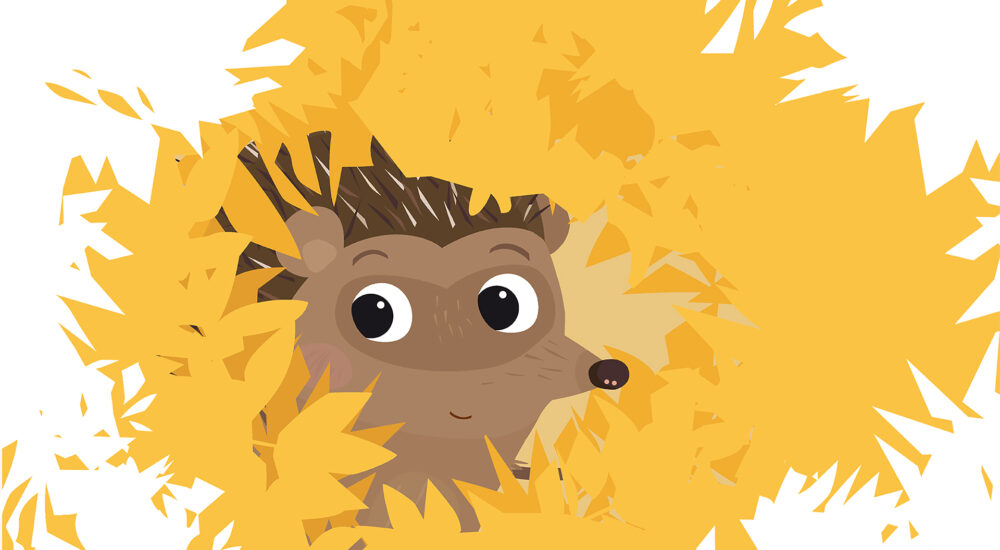 Un hérisson dans la neige