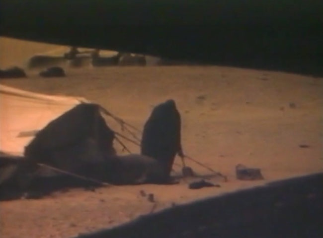 Le Sahara n&rsquo;est pas à vendre