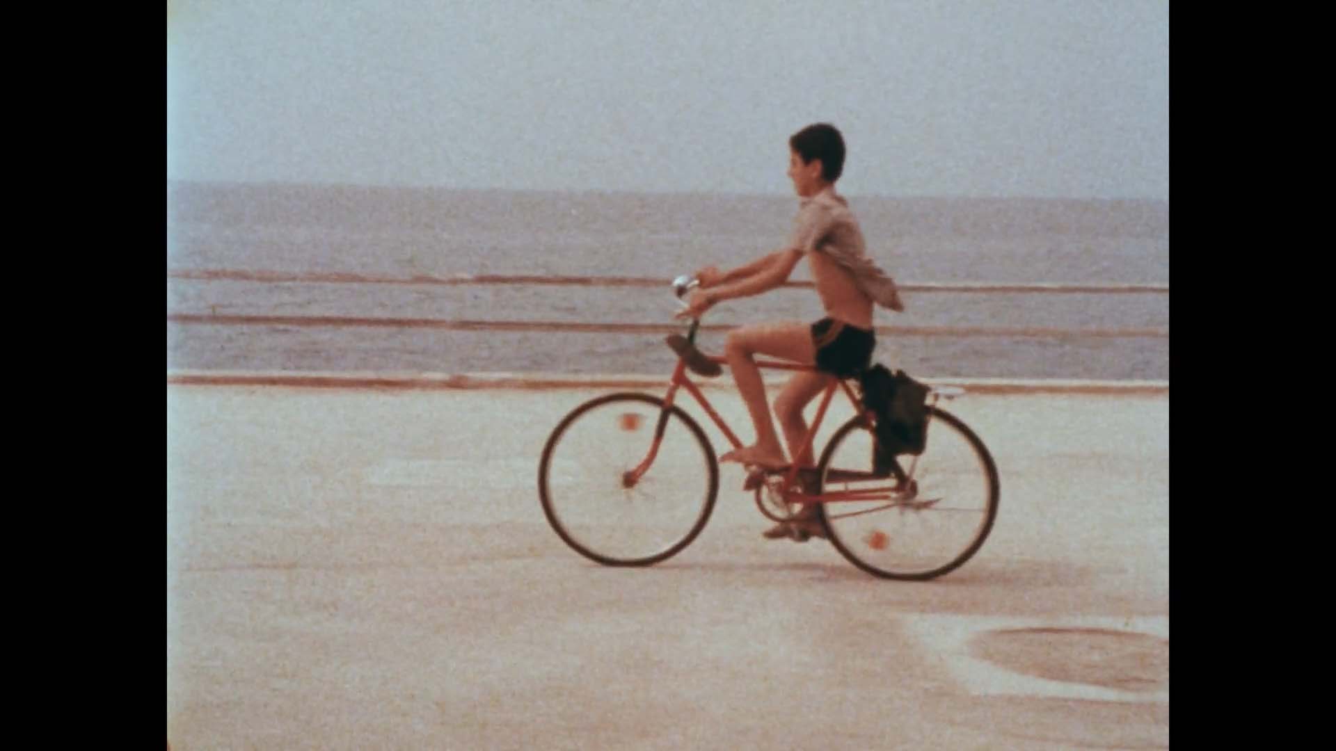 INTIME ET POLITIQUE LE COSMOS 2026