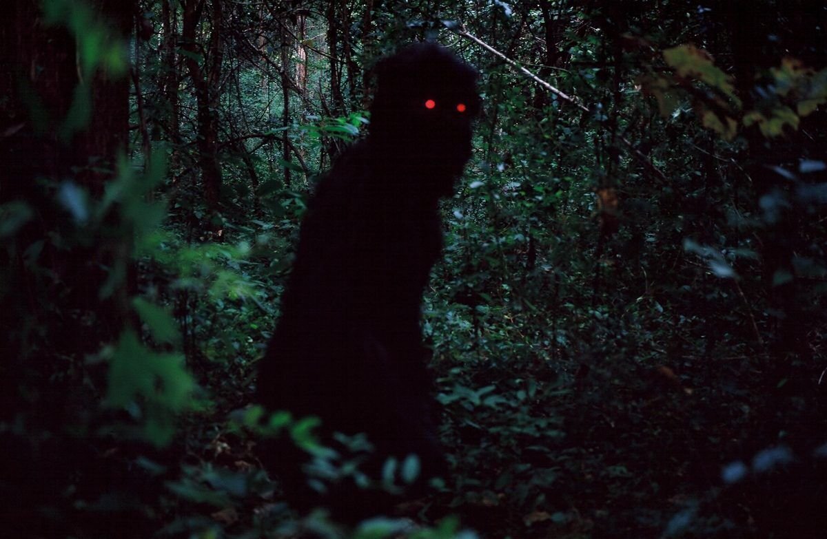 Oncle Boonmee (celui qui se souvient de ses vies antérieures)