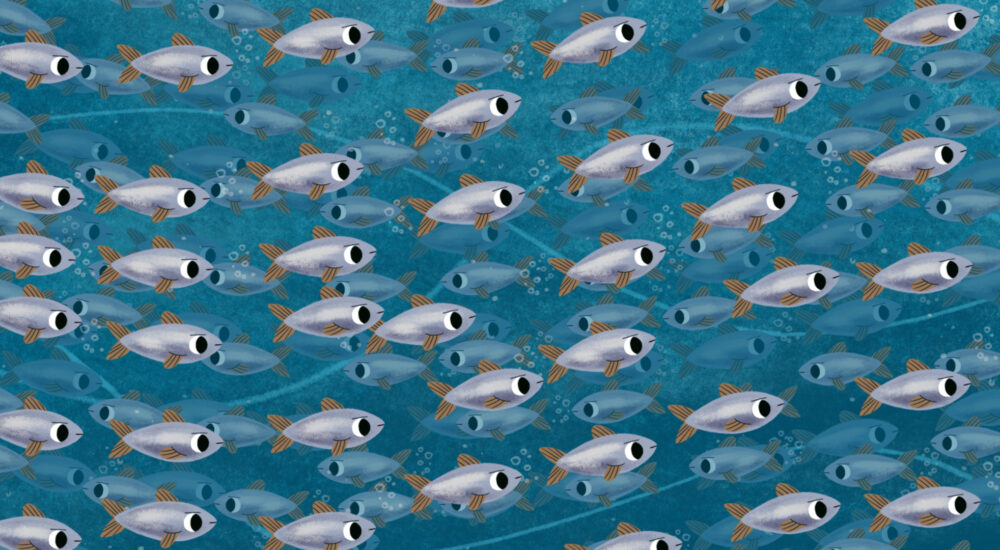 Petits contes sous l&rsquo;océan