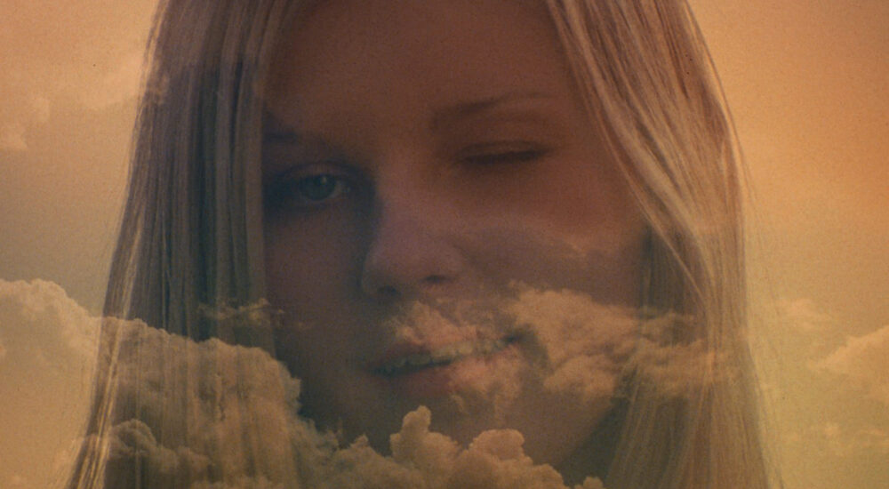 Virgin Suicides