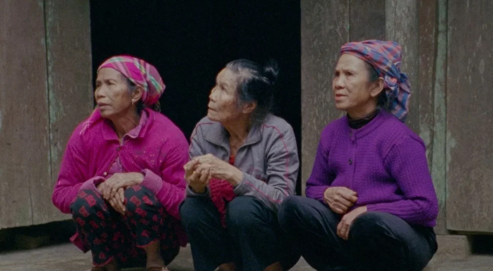 AVANT-PREMIÈRE + RENCONTRE : HAIR, PAPER, WATER…